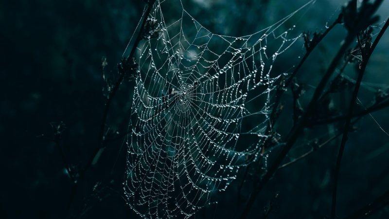 话本小说网搜索全景：全网都在搜什么 配图